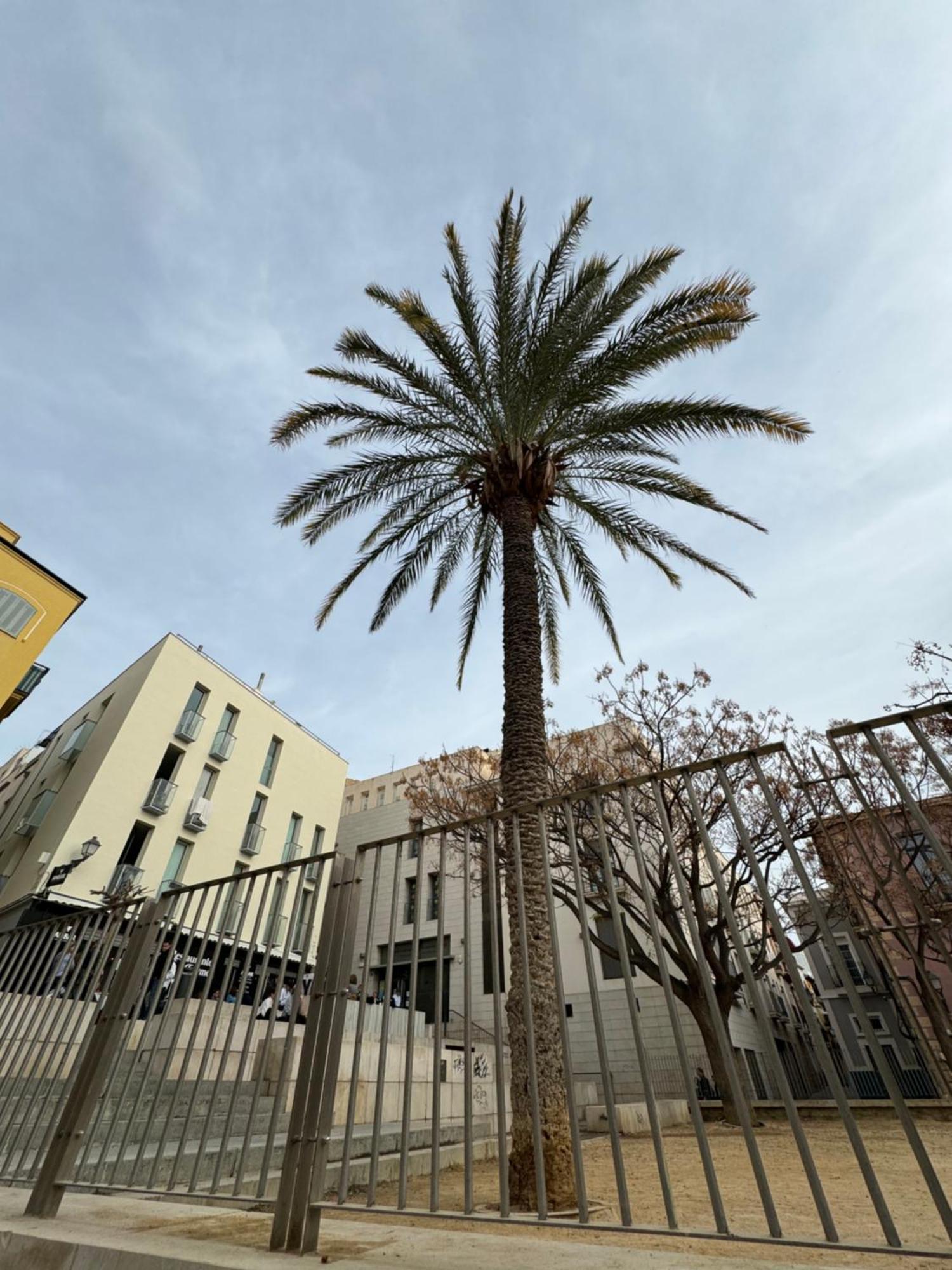 Nuevo Casco Antiguo, Playa Y Castillo Alicante Kültér fotó